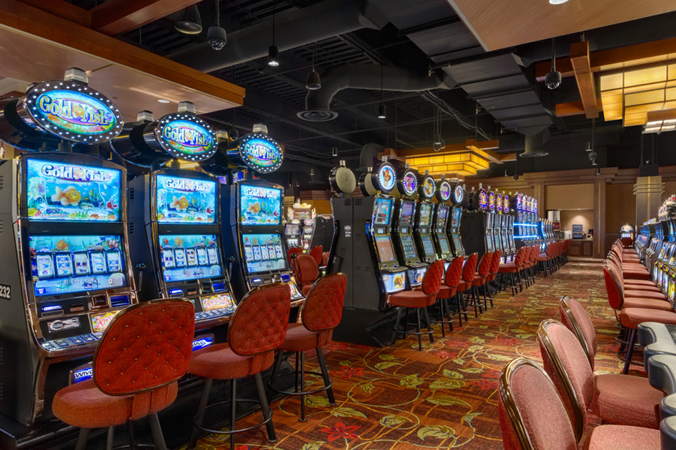 Baba wild slots casino free coins