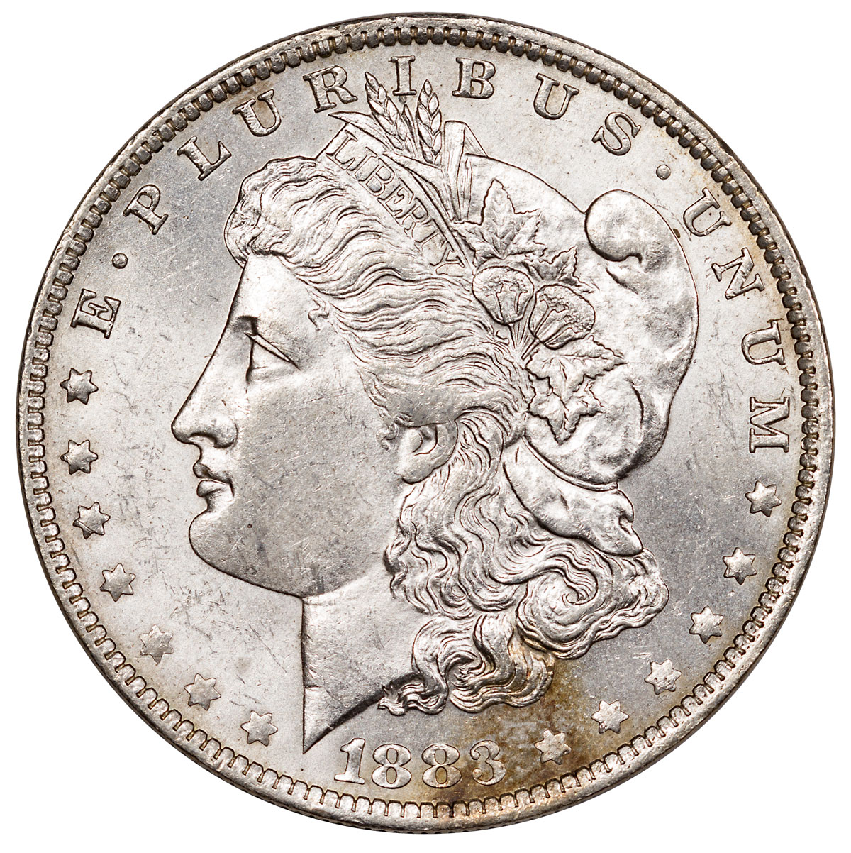 1883 silver dollar value book value